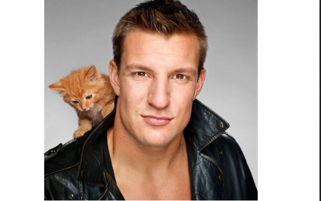 gronkowski-cats23
