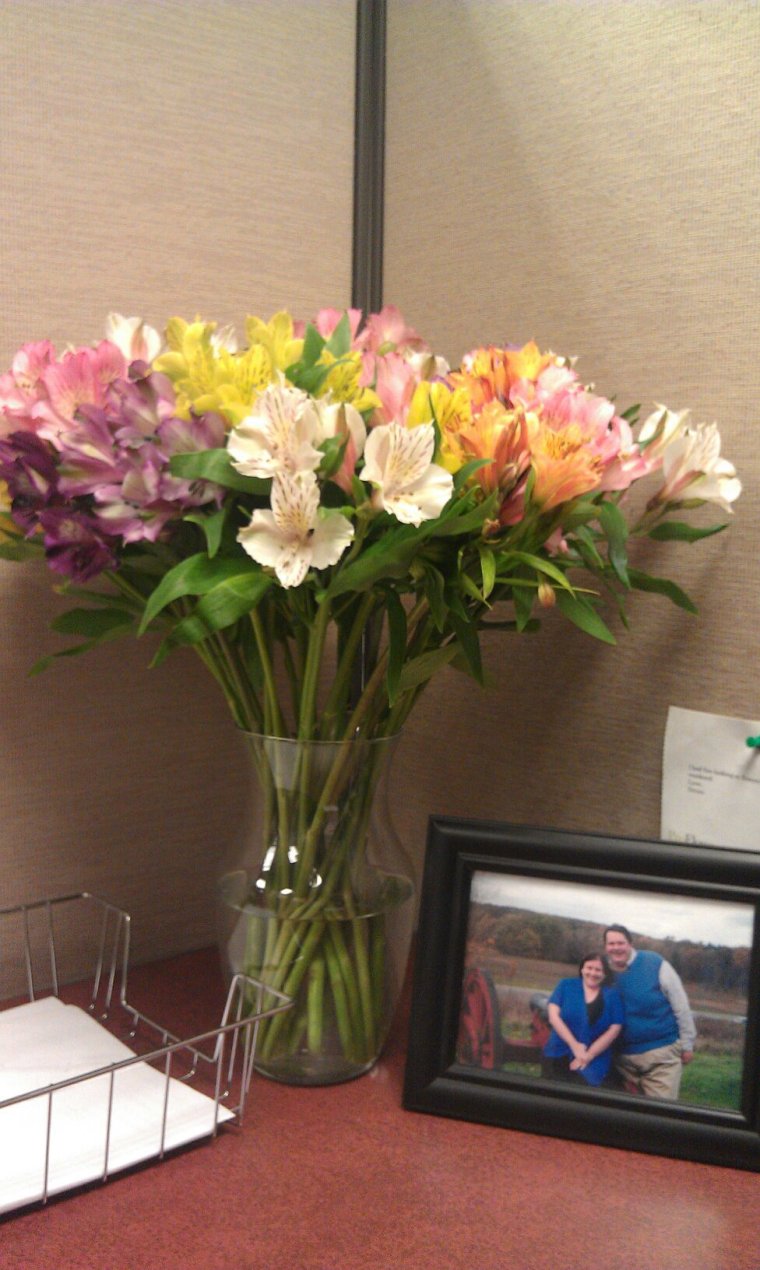 411179_10150523113817841_2057613315_o