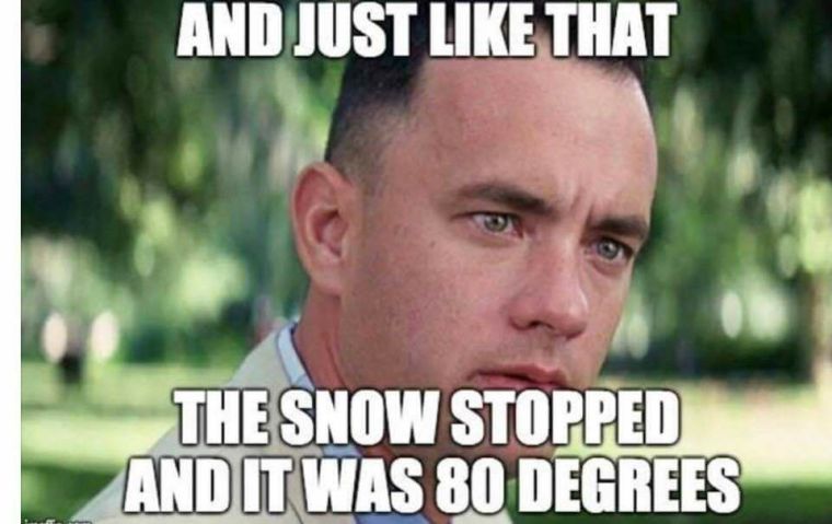 31783598_10156729919557841_236291267921707008_n